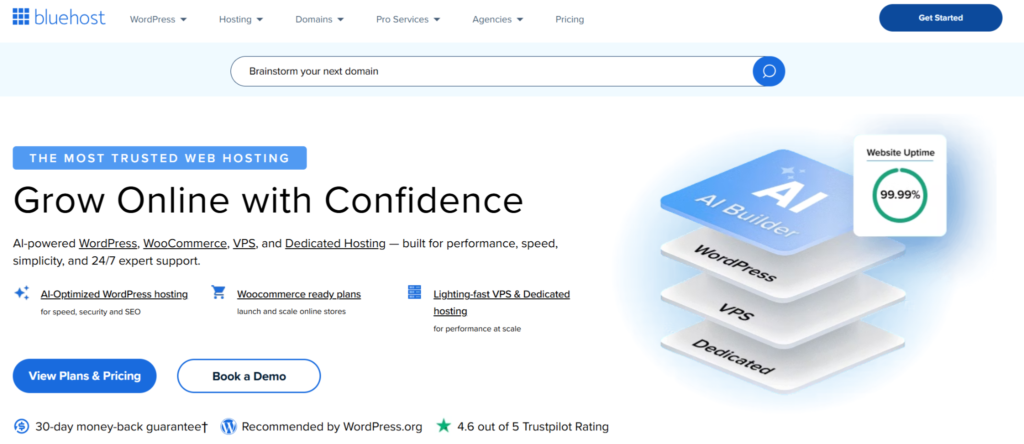 Screenshot of BlueHost WordPress Hosting homepage with pricing, features, and website tools